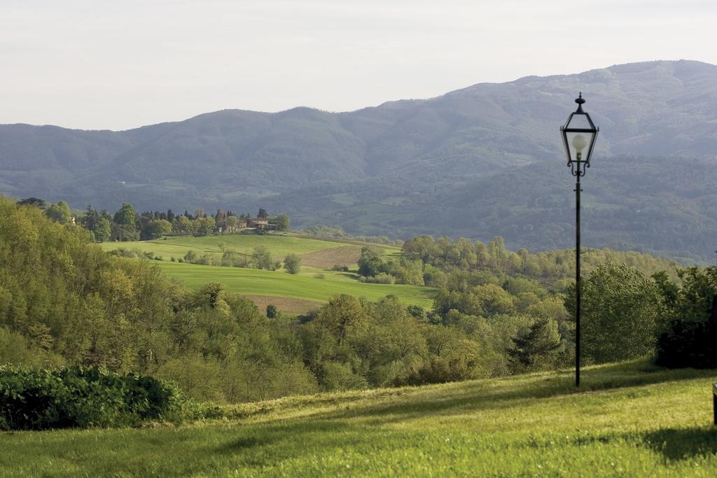 Tenuta Il Cerro Vicchio Værelse billede